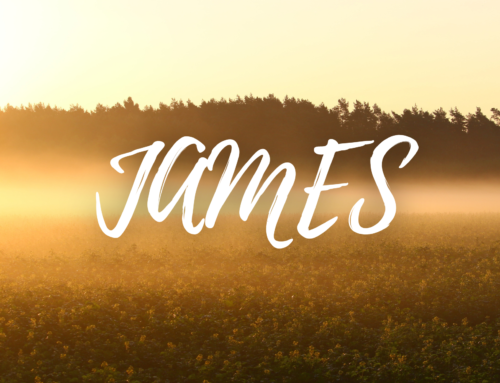James 3